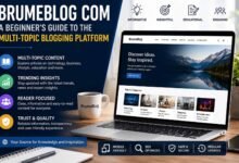 brumeblog com
