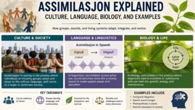 Assimilasjon