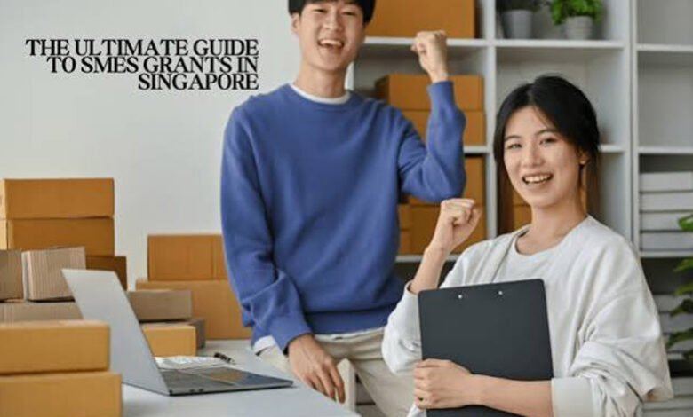 Key Business Support Programmes and Services for SMEs in Singapore