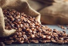 From Bean to Barista