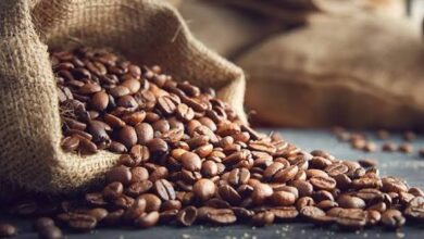 From Bean to Barista