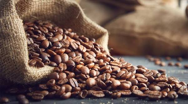 From Bean to Barista