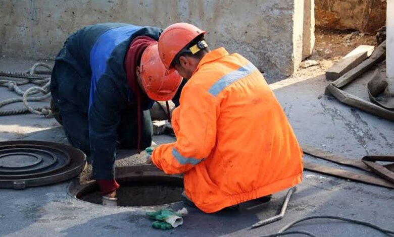 The Complete Guide to Sewer Line Problems, Maintenance, and Repair