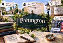Pabington Guide: Meaning, History, Common Uses, and Facts
