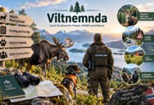 Viltnemnda Complete Guide: Meaning, Responsibilities, and Wildlife Management