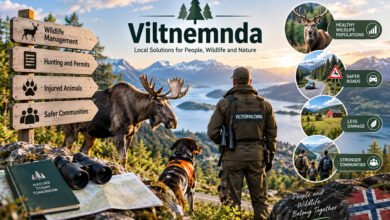 Viltnemnda Complete Guide: Meaning, Responsibilities, and Wildlife Management