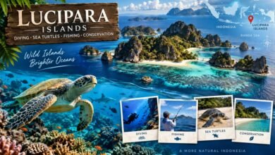 Lucipara Islands: Diving, Sea Turtles, Fishing, and Conservation