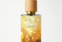 The Ultimate Fall/Winter Style Guide: Layering Luxury with the Perfect Scent