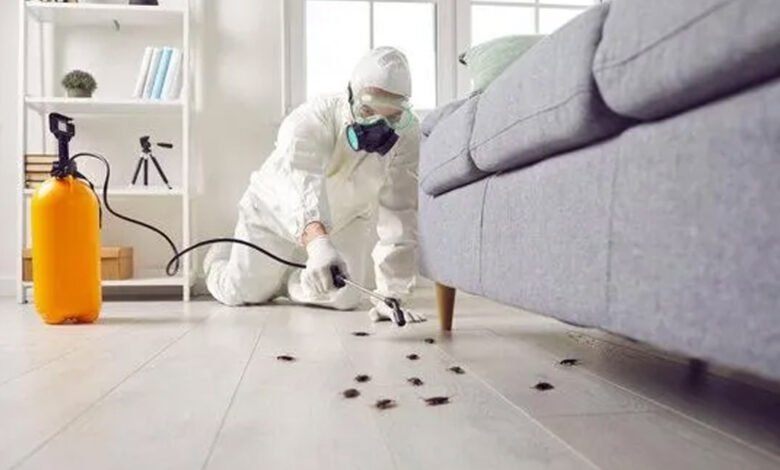 Cockroach Control Strategies for a Cleaner and Pest-Free Property