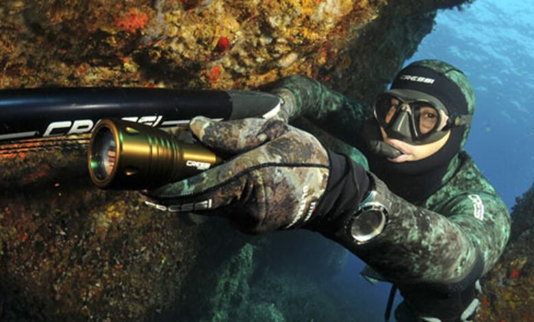 What Gear Upgrades Can Make You a More Effective Spearfisher?
