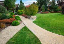 The Complete Guide to Lawn Care for a Healthy and Beautiful Yard