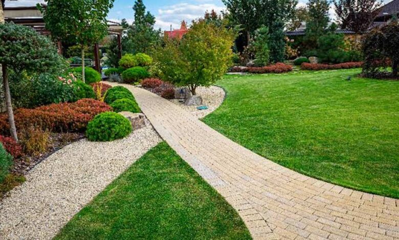 The Complete Guide to Lawn Care for a Healthy and Beautiful Yard