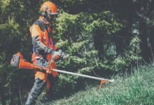 Clearing With Purpose: Smart Strategies for Managing Brush and Woody Vegetation