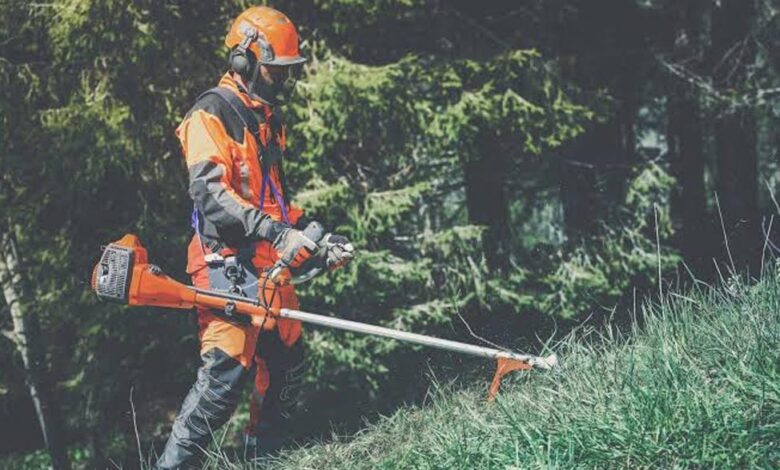 Clearing With Purpose: Smart Strategies for Managing Brush and Woody Vegetation