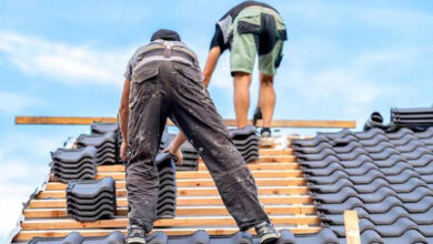 How Professional Roofing Services Protect and Improve Your Property
