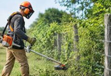 A Complete Guide to Safe, Efficient, and Responsible Brush Removal
