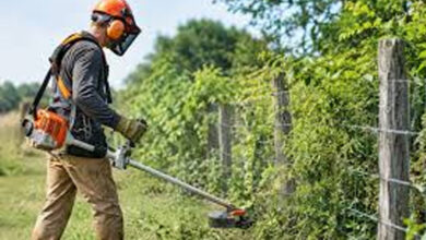 A Complete Guide to Safe, Efficient, and Responsible Brush Removal