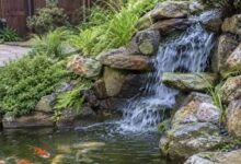 Important Benefits of Working With a Professional Pond Contractor for Design, Installation, and Long-Term Care