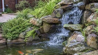 Important Benefits of Working With a Professional Pond Contractor for Design, Installation, and Long-Term Care