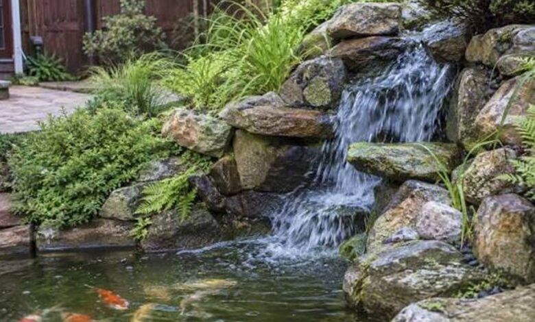 Important Benefits of Working With a Professional Pond Contractor for Design, Installation, and Long-Term Care