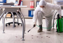 A Complete Guide to Choosing Reliable Pest Control Solutions