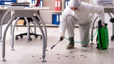 A Complete Guide to Choosing Reliable Pest Control Solutions