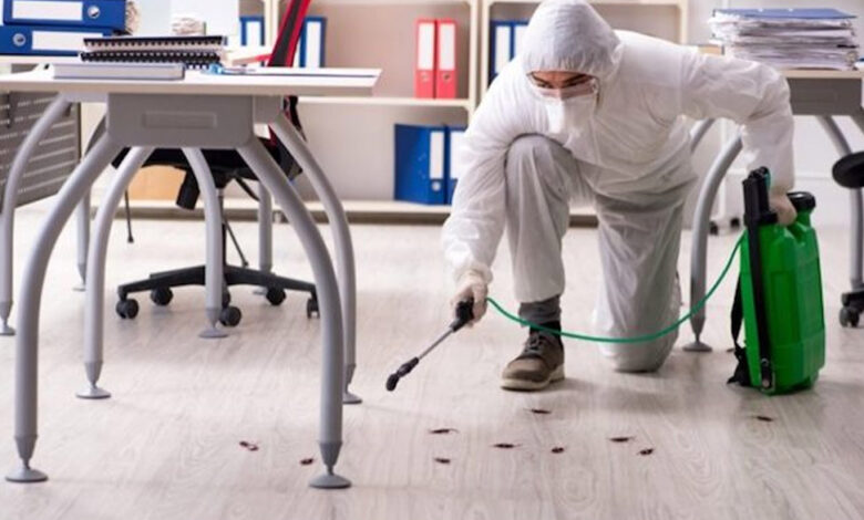 A Complete Guide to Choosing Reliable Pest Control Solutions