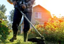 How Proper Landscape Maintenance Can Keep Your Yard Healthy, Attractive, Clean, and Well Organized