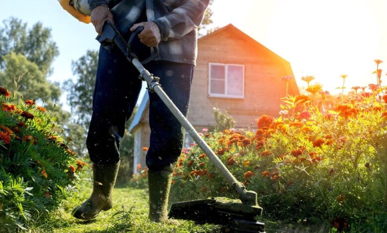 How Proper Landscape Maintenance Can Keep Your Yard Healthy, Attractive, Clean, and Well Organized