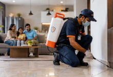 How Pest Control Service Supports Effective Pest Prevention, Property Protection, and Long-Term Maintenance