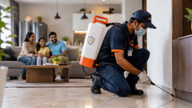How Pest Control Service Supports Effective Pest Prevention, Property Protection, and Long-Term Maintenance