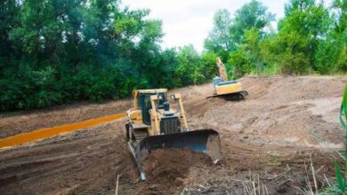A Complete Guide to Land Clearing, Vegetation Management, and Sustainable Property Care