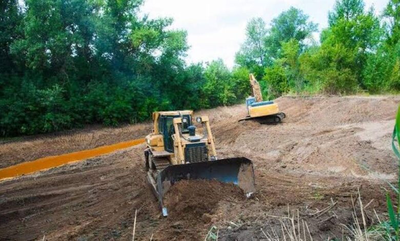 A Complete Guide to Land Clearing, Vegetation Management, and Sustainable Property Care