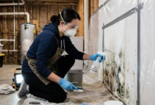 The Complete Guide to Identifying Mold, Understanding the Removal Process, Preventing Future Growth, and Protecting Your Home