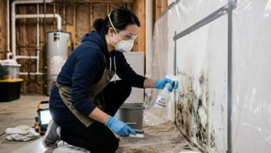 The Complete Guide to Identifying Mold, Understanding the Removal Process, Preventing Future Growth, and Protecting Your Home