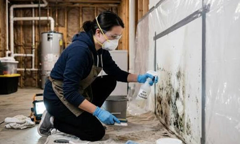 The Complete Guide to Identifying Mold, Understanding the Removal Process, Preventing Future Growth, and Protecting Your Home