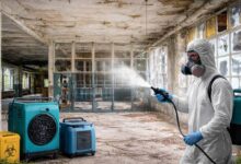 Complete Guide to Mold Problems, Inspection, Prevention, and Remediation Solutions
