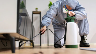 How Professional Termite and Pest Control Helps Protect Your Property and Maintain a Healthy Environment