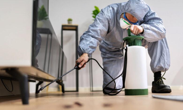 How Professional Termite and Pest Control Helps Protect Your Property and Maintain a Healthy Environment