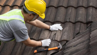 How Professional Roofing Services Protect and Extend the Life of Your Roof