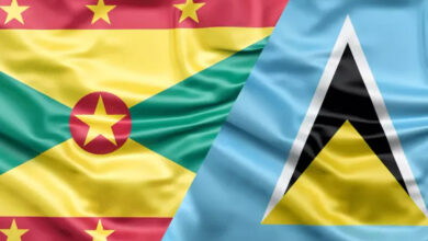Grenada vs. St Lucia: Comparing Caribbean Citizenship by Investment Options