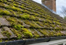 How to Get Rid of Moss on a Roof and Keep It Safe from Coming Back