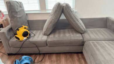 What Professional Upholstery Cleaning Actually Pulls Out of Your Furniture