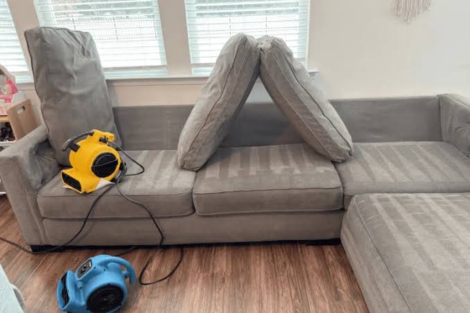 What Professional Upholstery Cleaning Actually Pulls Out of Your Furniture