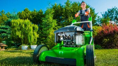 Electric Lawn Mower Wet-Grass Considerations: Planning Cuts Around Weather Conditions